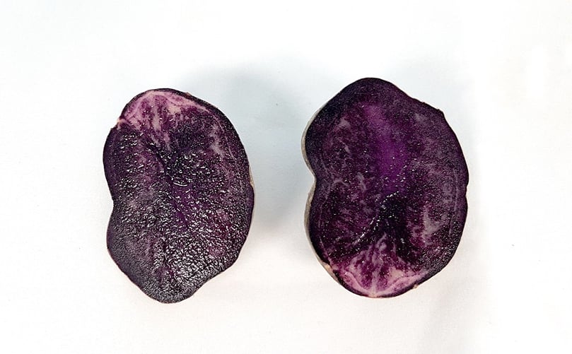 La creación de la nueva variedad pone de manifiesto el compromiso de Neiker por la innovación en uno de los productos estrella de la agricultura de Álava.(Cortesía Neiker) La creación de la nueva variedad pone de manifiesto el compromiso de Neiker por la innovación en uno de los productos estrella de la agricultura de Álava.(Cortesía Neiker)