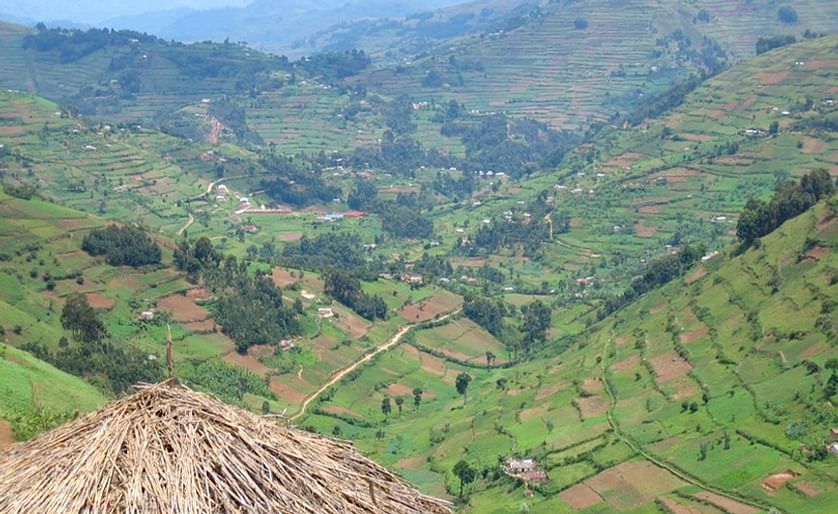Impression of the highlands in Kabale District in South-west Uganda. Due to its altitude ranging from 1219 to 2347 meter above sea level, the highlands in Kabale and neighboring Kisoro District are very suitable to grow potatoes