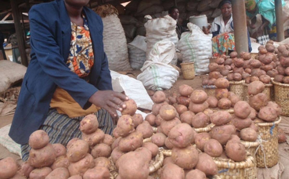 Women selling Irish potatoes in a Ugandan food market Women selling Irish potatoes in a Ugandan food market
