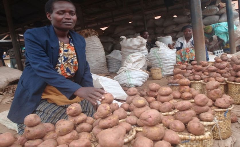 Kenya potato import plan worries region