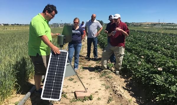 Idaho Growers Benefit from Improved Spore Sampling