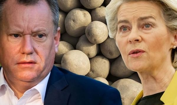 Brexit fightback: UK bans EU seed potato imports in snub at Brussels