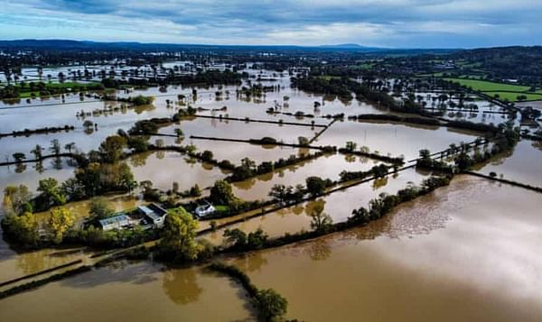 Farmers in the United Kingdom warn of rotting crops after Storm Babet flooding