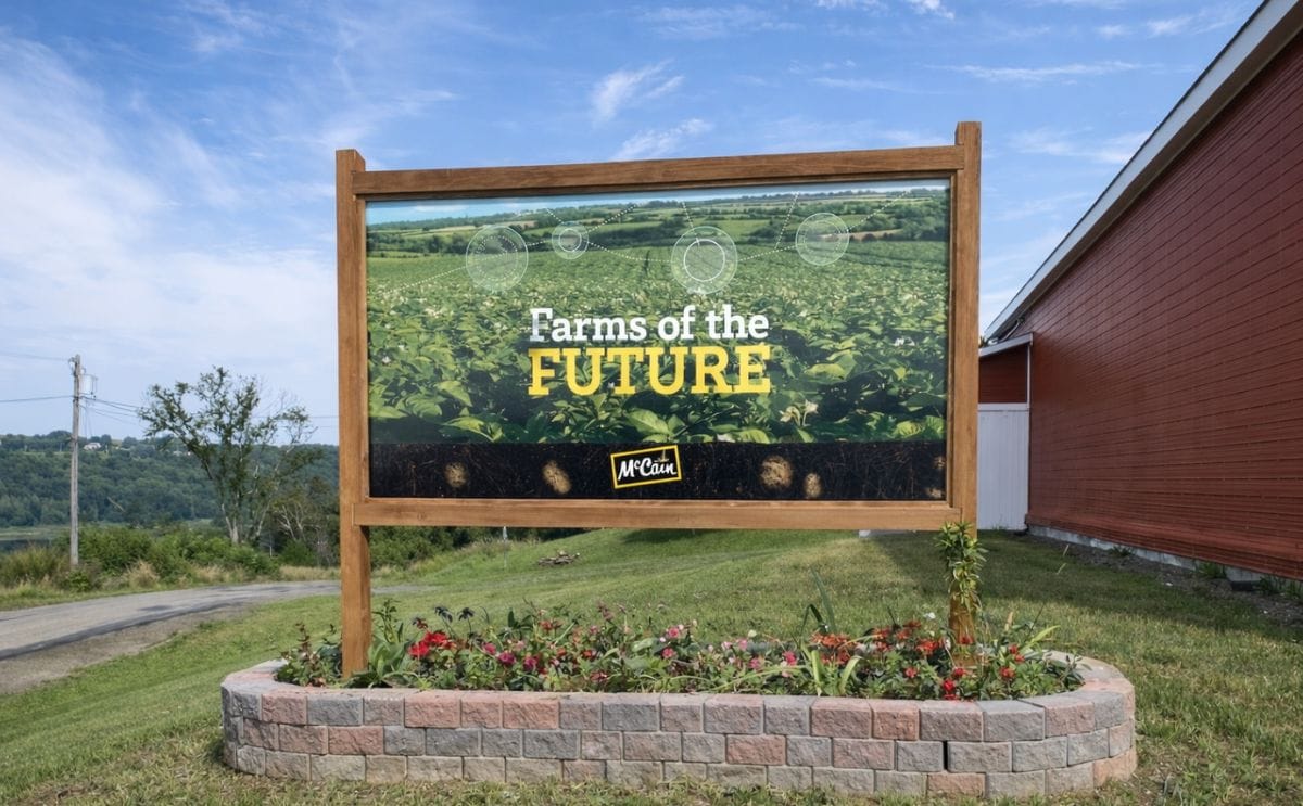McCain Farm of the Future in North Yorkshire will trial regenerative agriculture practices to strengthen sustainable potato production in the United Kingdom