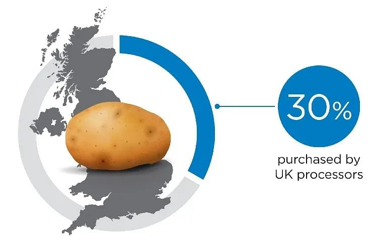 30 % of potatoes purchased by UK processors