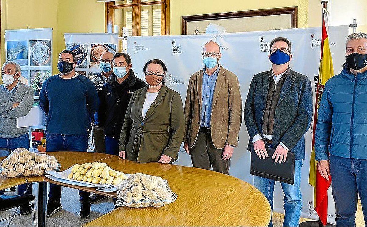 Martin Socies, Pedro Mateu, Joan Cantallops, Jaume Mateu, Councillor Mae de la Concha, Fernando Fernández, Joan Company &amp; Alexandre Soler presenting the British resolution at the Ministry of Agriculture. (from left to right)