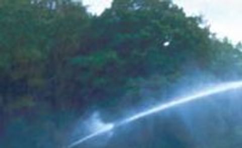 British potato supply chain will cope with drought British potato supply chain will cope with drought