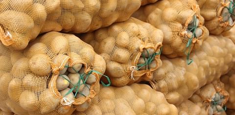 Ukraine imports potatoes from Poland and the Netherlands