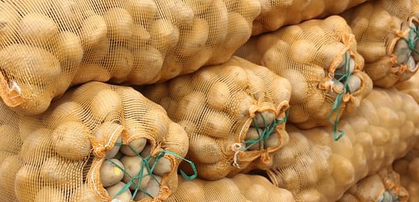 Ukraine imports potatoes from Poland and the Netherlands