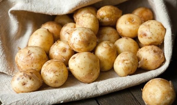 Potato market - Ukraine plans to ban imports from Russia