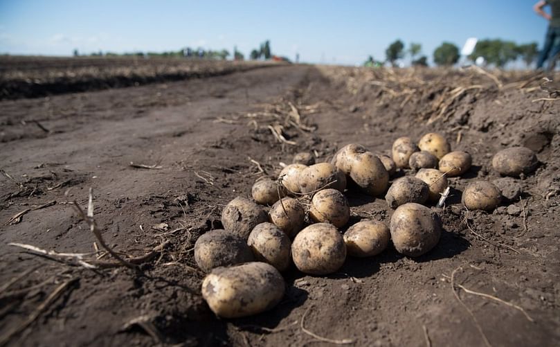 This year Ukrainian Potato Day is
warmly hosted by experienced potato farm FG Adelaida, cultivating about 3 thousand
ha under irrigation in Kherson Region and 8 thousand ha in Zhytomyr Region. This year Ukrainian Potato Day is
warmly hosted by experienced potato farm FG Adelaida, cultivating about 3 thousand
ha under irrigation in Kherson Region and 8 thousand ha in Zhytomyr Region.