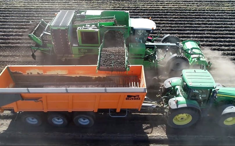 With over 1,4 million ha and 20,2 million t potato harvested Ukraine belongs to the
top-5 biggest potato producers in the world. With over 1,4 million ha and 20,2 million t potato harvested Ukraine belongs to the
top-5 biggest potato producers in the world.