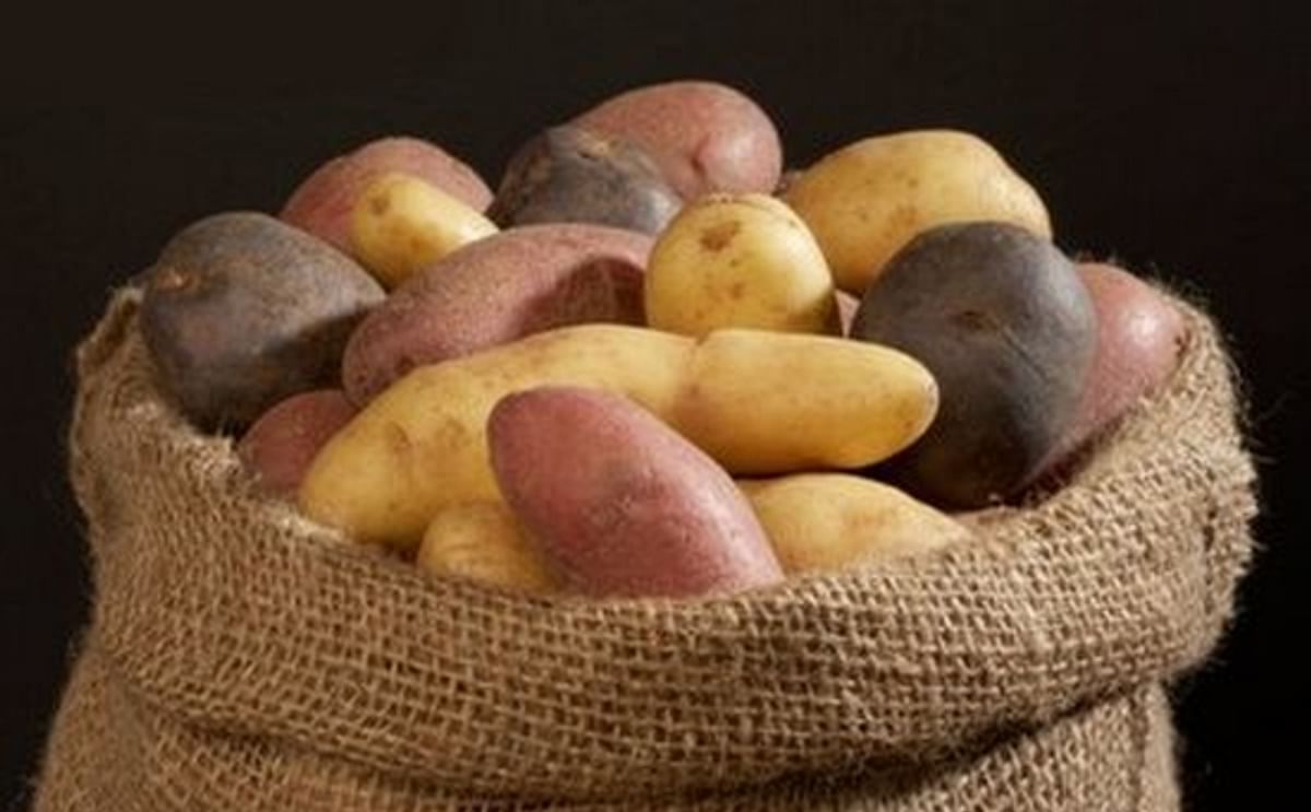 Middle East ready to import Ukrainian potatoes