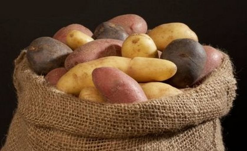 Middle East ready to import Ukrainian potatoes
