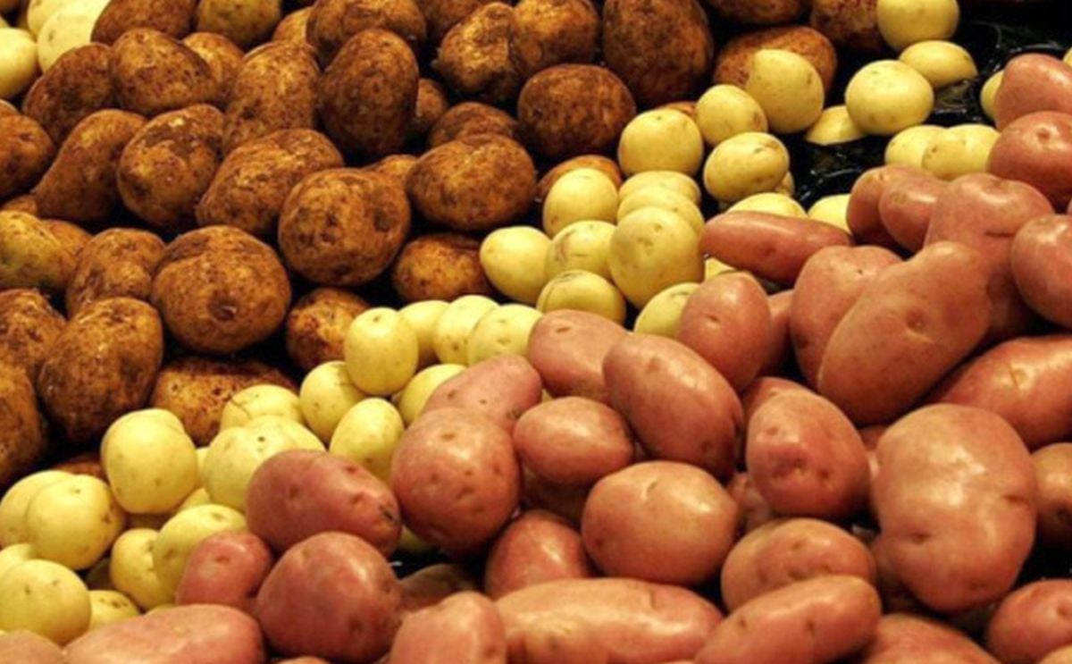 Ukraine breaks its potato import record Ukraine breaks its potato import record