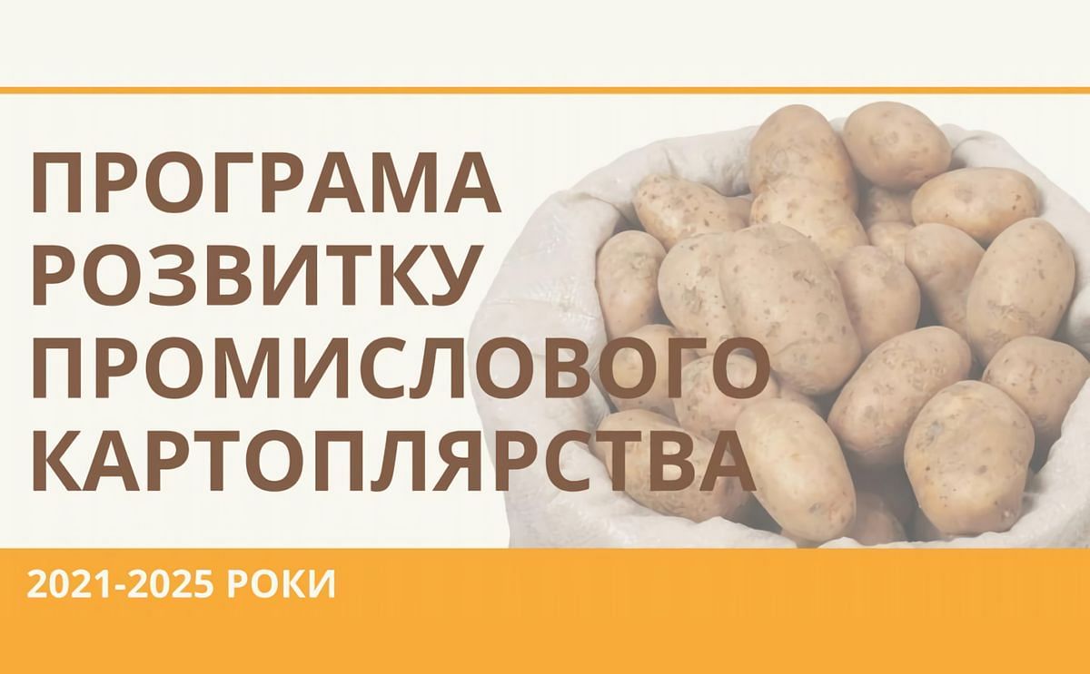 Ukrainian State-Funded Program on Development of Potato Sector