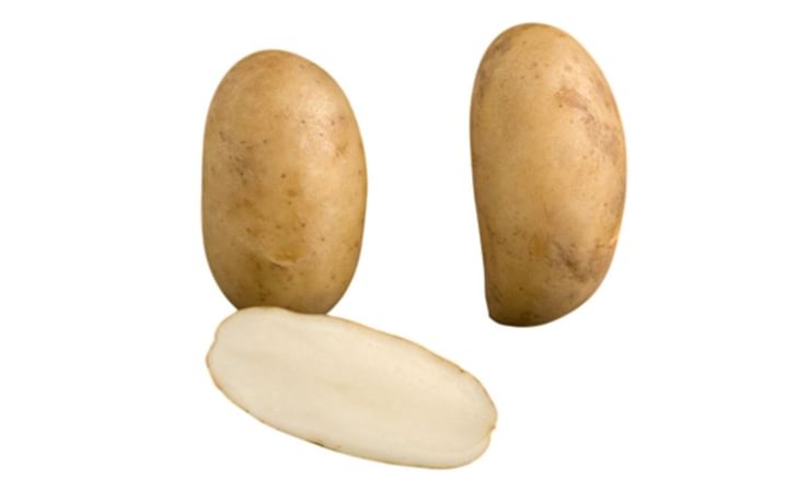 ULSTER PRINCE ULSTER PRINCE