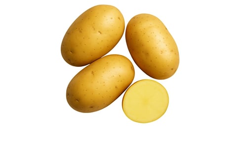 ULTIMUS ULTIMUS