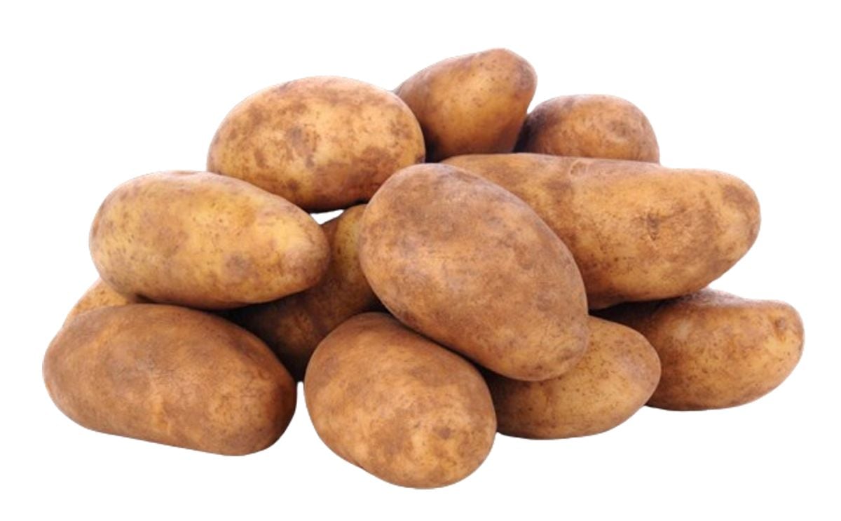 UMATILLA RUSSET UMATILLA RUSSET