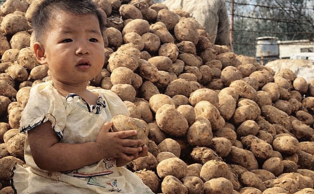Un distrito de la China ha convertido sus papas en una marca mundial