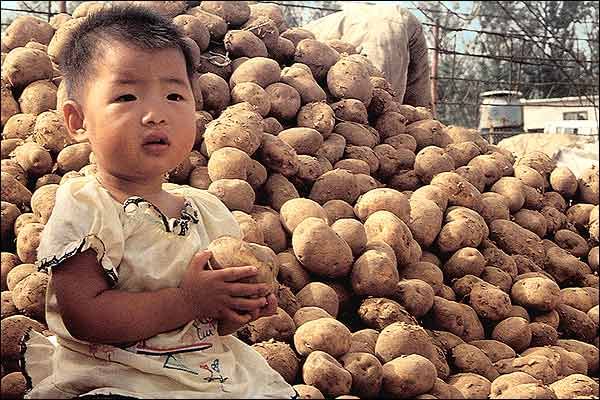 Un distrito de la China ha convertido sus papas en una marca mundial