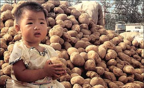 Un distrito de la China ha convertido sus papas en una marca mundial Un distrito de la China ha convertido sus papas en una marca mundial