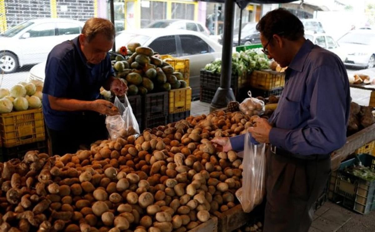 Es un alimento básico en algunos países asiáticos, africanos y sudamericanos donde hay una alta incidencia de deficiencias de vitamina A y vitamina E. Foto de Reuters