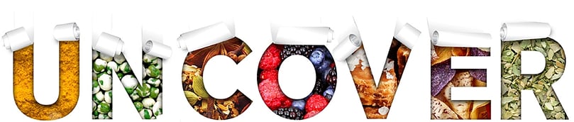 This year’s theme is “Uncover,” which encompasses SNAC International’s vision to highlight growth rates across the rapidly evolving snack category. This year’s theme is “Uncover,” which encompasses SNAC International’s vision to highlight growth rates across the rapidly evolving snack category.