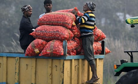 India’s potato sector urges Budget 2026 reforms to boost processing, supply chains and exports. India’s potato sector urges Budget 2026 reforms to boost processing, supply chains and exports.