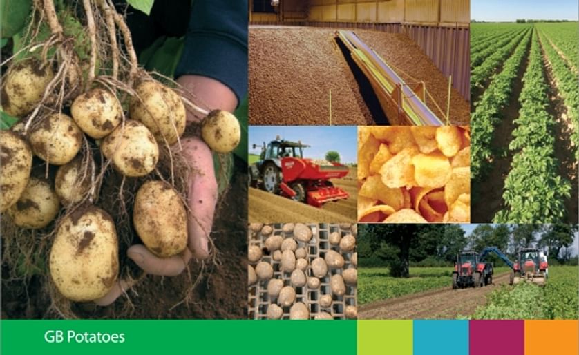 Potato Council publishes annual market intelligence report on GB potatoes