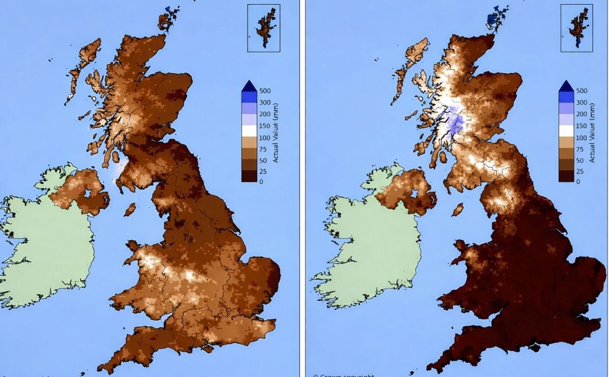 UK Potato plantings down three per cent amid extreme weather conditions UK Potato plantings down three per cent amid extreme weather conditions