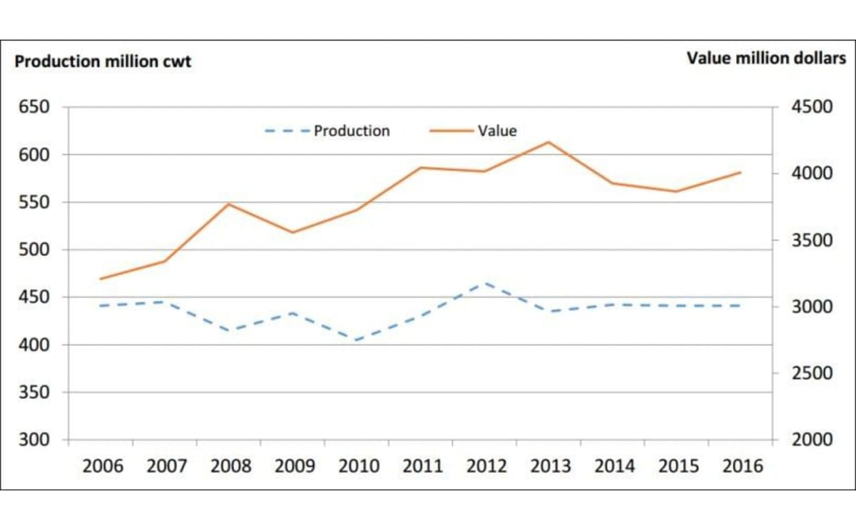 Potato Production United States 2016: USDA-NASS publishes 'Potatoes 2016 (Summary)' Potato Production United States 2016: USDA-NASS publishes 'Potatoes 2016 (Summary)'