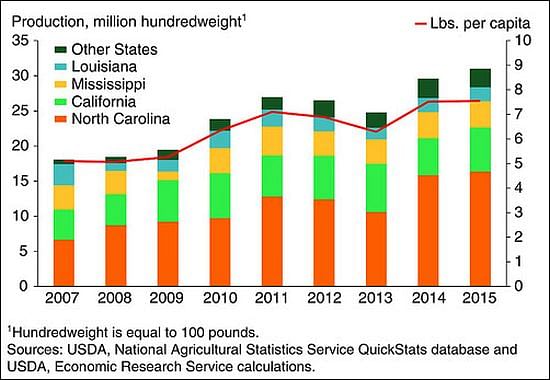 The contribution of North Carolina to the total sweet potato production in the United States, 2007-2015 (Courtesy: USDA - ERS)