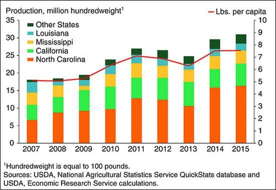The contribution of North Carolina to the total sweet potato production in the United States, 2007-2015 (Courtesy: USDA - ERS) The contribution of North Carolina to the total sweet potato production in the United States, 2007-2015 (Courtesy: USDA - ERS)