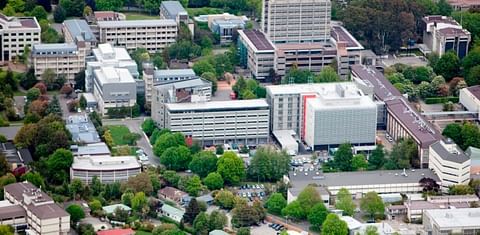 Cadmium resistant line of potatoes in development by University of Canterbury 