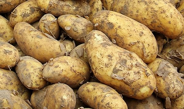 UK research project intends to turn potato waste into beauty creams.