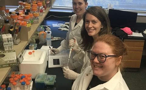 Announced in September 2018, the new University of Tennessee Center for Agricultural Synthetic Biology is already staffed. Shown from rear to front are Taylor Frazier-Douglas, a postdoctoral member of the research team, as well as Holly Brabazon, research Announced in September 2018, the new University of Tennessee Center for Agricultural Synthetic Biology is already staffed. Shown from rear to front are Taylor Frazier-Douglas, a postdoctoral member of the research team, as well as Holly Brabazon, research