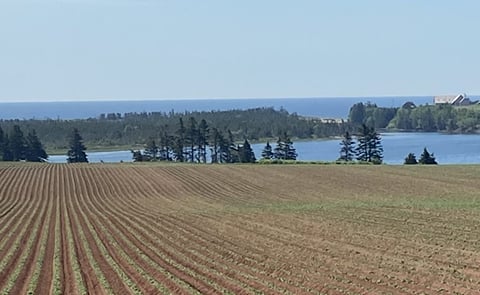 UPGC Canadian Potato Crop Update June 23, 2021 UPGC Canadian Potato Crop Update June 23, 2021