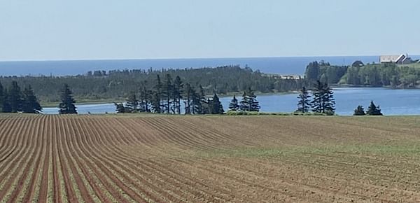 UPGC Canadian Potato Crop Update June 23, 2021