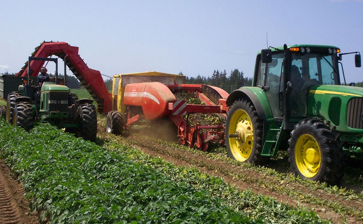 UPGC: Planting Intentions 2021 Canadian Potato Crop UPGC: Planting Intentions 2021 Canadian Potato Crop