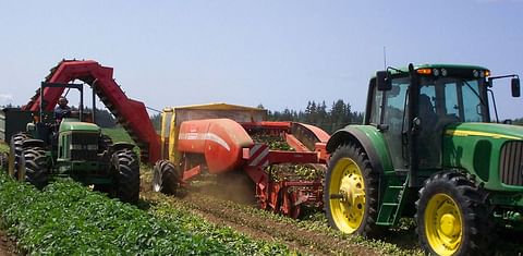 UPGC: Planting Intentions 2021 Canadian Potato Crop