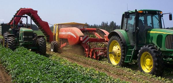 UPGC: Planting Intentions 2021 Canadian Potato Crop