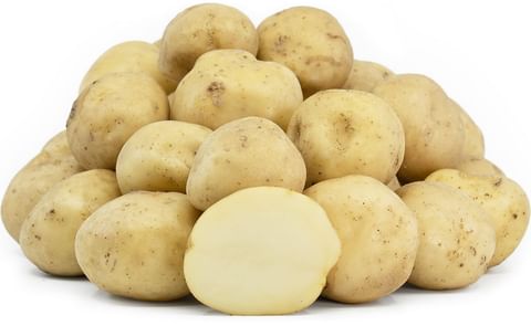 UPSTATE ABUNDANCE UPSTATE ABUNDANCE