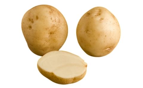 UP TO DATE UP TO DATE