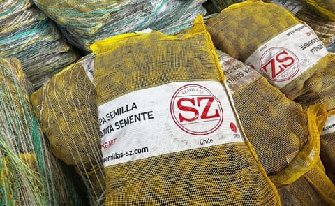 Uruguay concretó una nueva importación de papa semilla desde Chile, pese a retrasos logísticos causados por fuertes nevadas en los Andes. Uruguay concretó una nueva importación de papa semilla desde Chile, pese a retrasos logísticos causados por fuertes nevadas en los Andes.