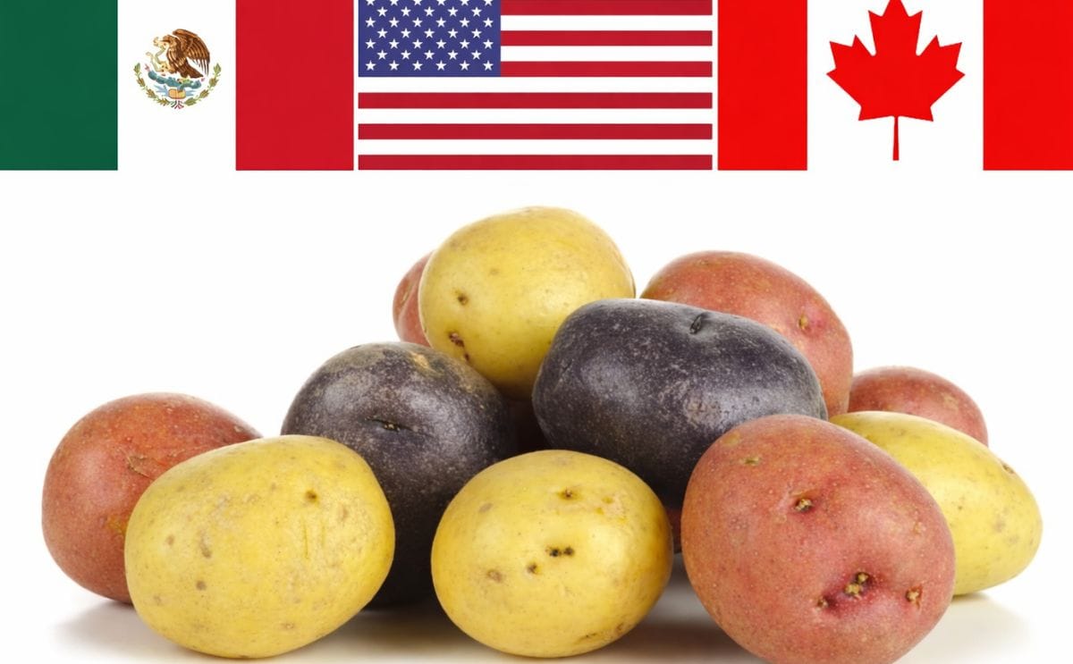 The National Potato Council (NPC) applauds today's official US kick-off to renegotiate NAFTA The National Potato Council (NPC) applauds today's official US kick-off to renegotiate NAFTA