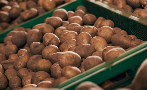 United States potato imports continue to grow United States potato imports continue to grow