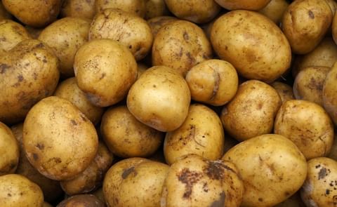 US potato imports surge US potato imports surge