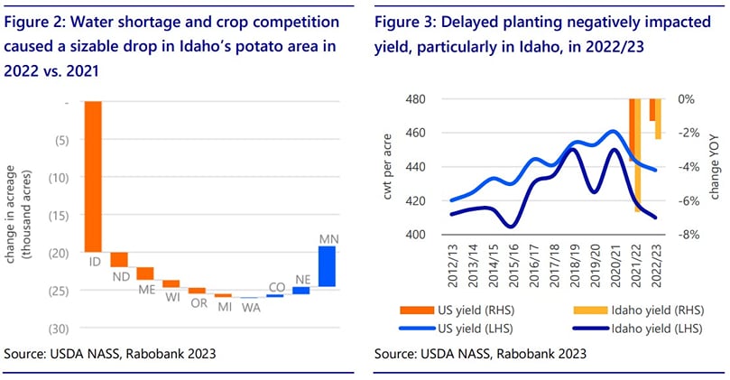 US Potato Outlook 2023/24