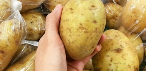 U.S. potato exports of frozen, dehy and fresh have all posted modest gains through the first three quarters of the July 2018 – June 2019 marketing year. (Courtesy: Potato News Today)